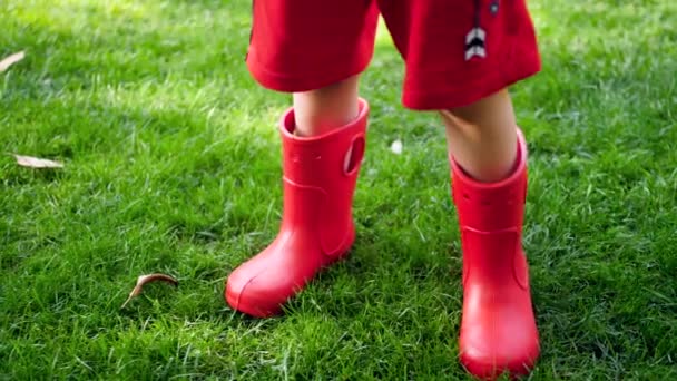 4k closeup video of little toddler boy wearing red rubber wellington boots walking on grass at house backyard - Materiał filmowy, wideo