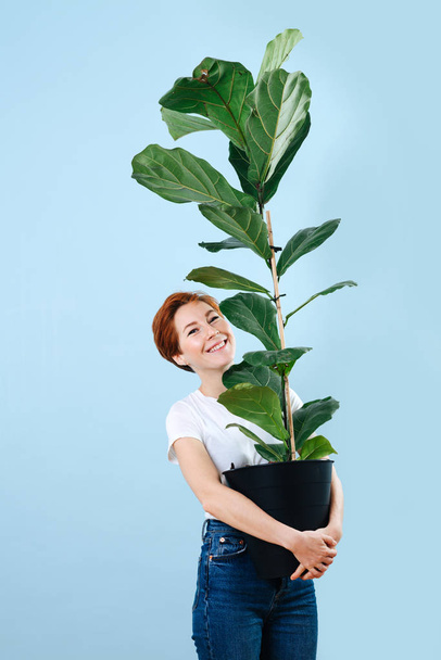 Portrait of a cheerful woman with short ginger hair holding giant ficus - Fotografie, Obrázek