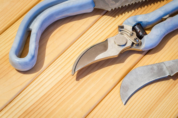 Набор инструментов для садоводов на деревянных досках подготовлен перед обрезкой сада весной
 - Фото, изображение