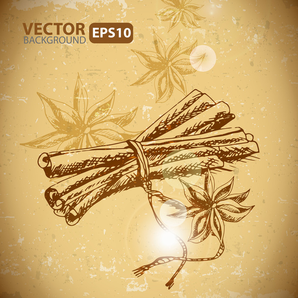 Anise stars and cinnamon sticks - Vector, Image