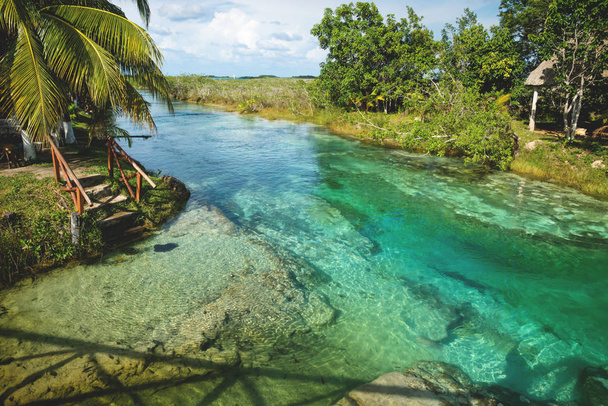 Soleada laguna de siete colores rodeada de plantas tropicales en Bacalar, Quintana Roo, México
 - Foto, imagen