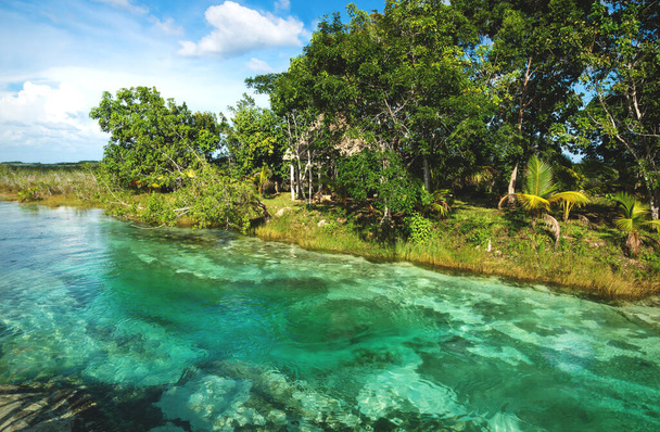 Rapide nella soleggiata laguna di sette colori circondata da piante tropicali a Bacalar, Quintana Roo, Messico
 - Foto, immagini