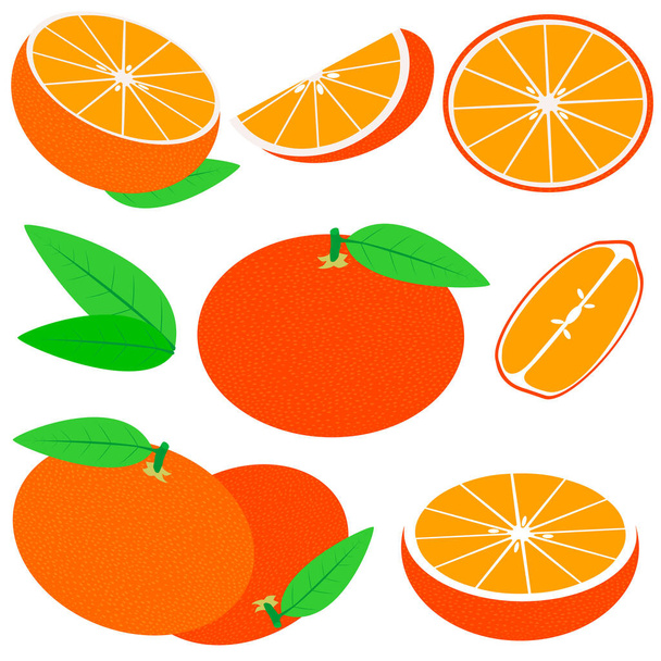 Vektor-Mandarinen isoliert auf weißem Hintergrund. Frische und saftige ganze Mandarinen und Scheiben. - Vektor, Bild