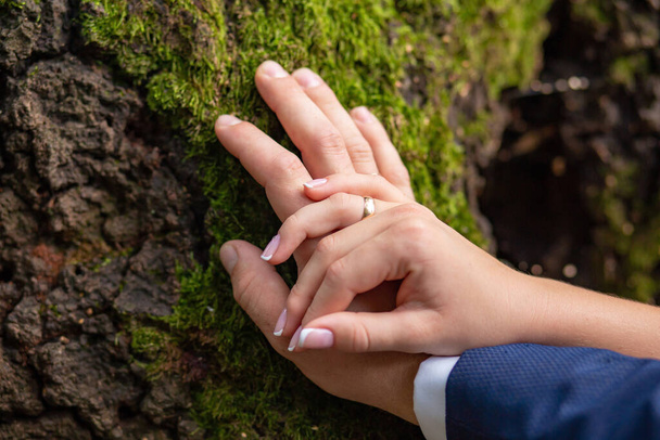 the hands of the bridegroom with the wedding rings, on the tree whilethis moss. Without a face. Close-up, background. - Photo, Image