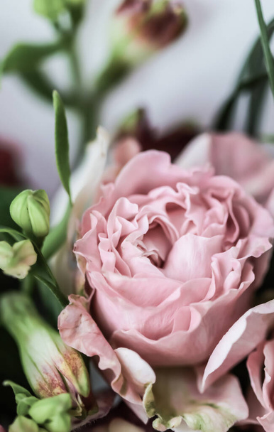 Ботаническая концепция, приглашение на свадьбу - Мягкий фокус, абстрактный цветочный фон, розовый цветок розы. Макроцветы для дизайна праздничных брендов - Фото, изображение