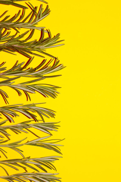 Green sprigs of rosemary on a yellow background. Food, spices, background for menu concept. - Photo, Image