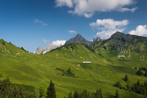 Cabaña alpina en una bonita montaña verde
 - Foto, Imagen
