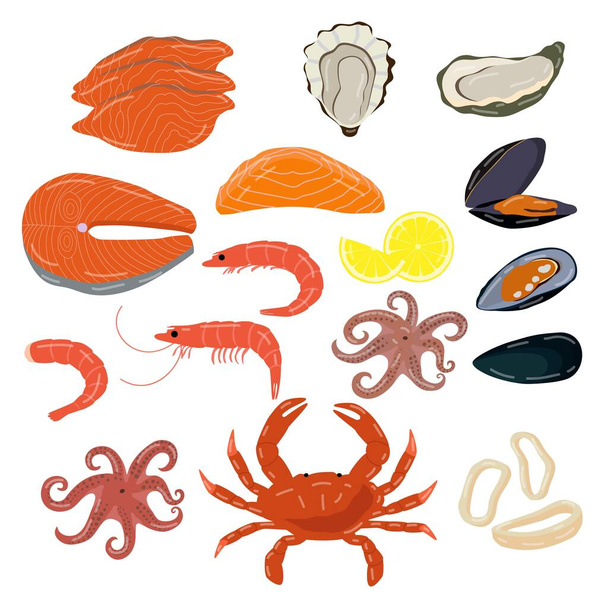 Seafood isolated on white, set of fresh ocean delicacies, oyster, prawn and shrimp, vector illustration - ベクター画像