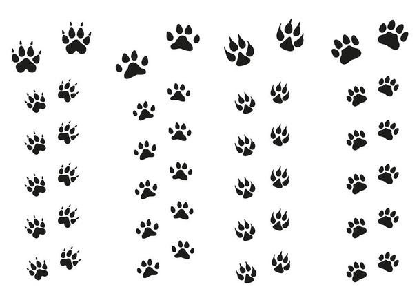 Trails of animals steps isolated on white background. Paw Print. - Vector, Image
