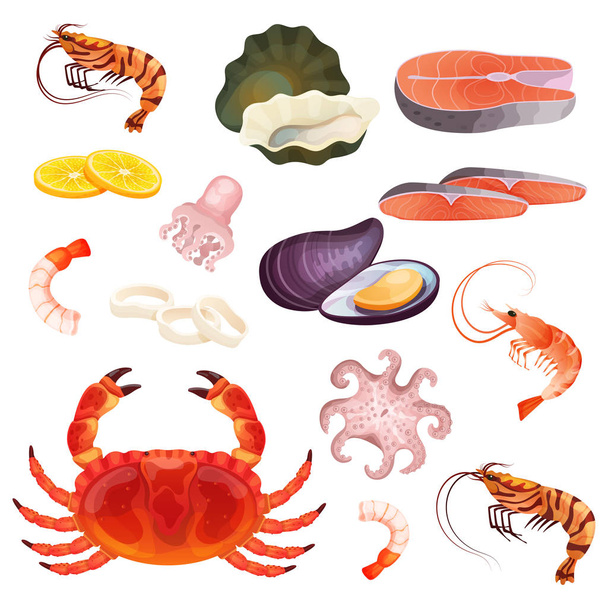 Seafood isolated on white, set of fresh ocean delicacies, oyster, prawn and shrimp, vector illustration - Vetor, Imagem
