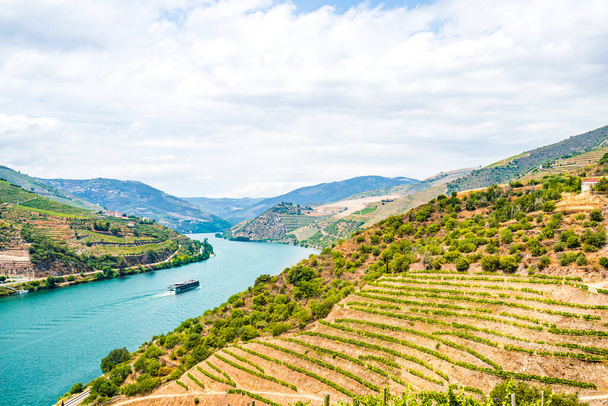 αμπελώνες στην κοιλάδα του ποταμού douro, Πορτογαλία - Φωτογραφία, εικόνα