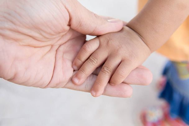 moeder hand bezit is van de hand van een pasgeboren baby - Foto, afbeelding