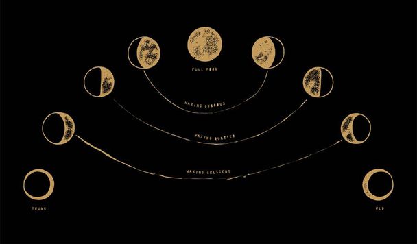 Maan fasen illustratie met inscripties vintage occulte vector illustratie - Vector, afbeelding