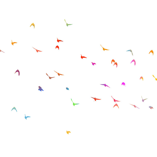Uccelli multicolori. Uno stormo di uccelli arcobaleno volanti. Illustrazione vettoriale
 - Vettoriali, immagini