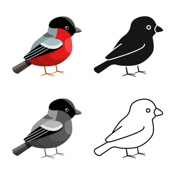 Objeto aislado de pinzón y logo de pájaro. Colección de pinzón y robin vector icono para stock
. - Vector, imagen