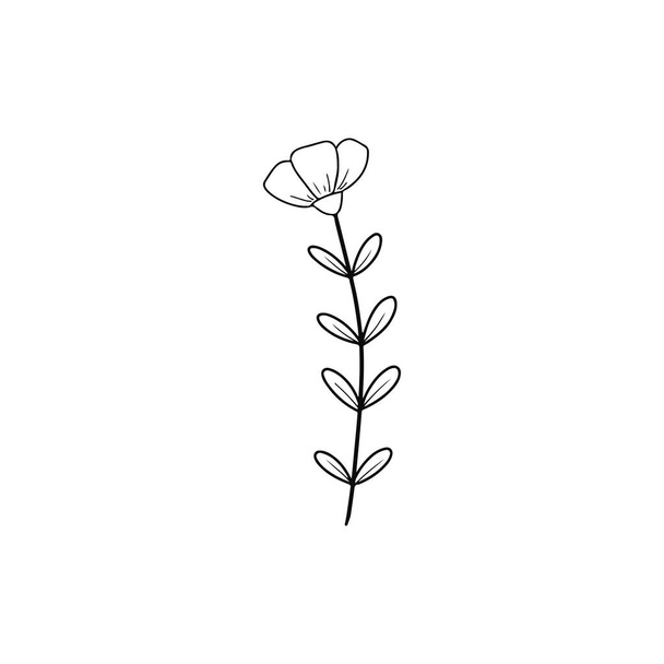 Hand drawn flower flat vector icon isolated on a white background. - Vector, Image