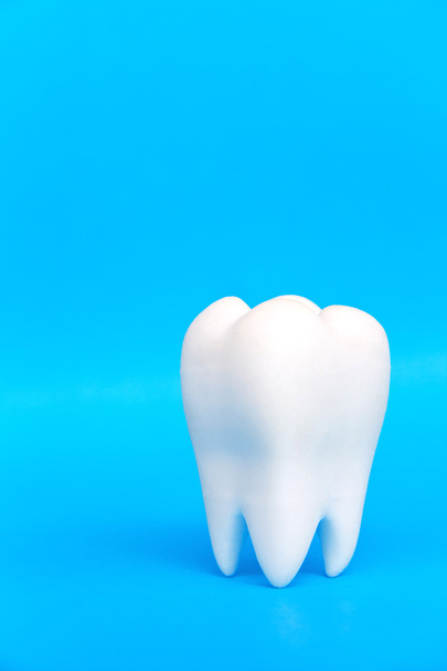 Dental concept - Photo, Image