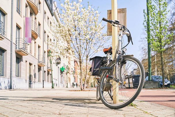 Bicycle with pannier bags trunk for luggage parked on the sunny spring street with blooming trees. Copy space. - 写真・画像