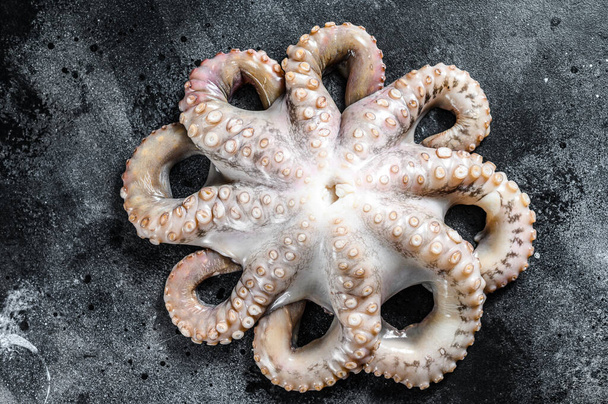 Fresh raw octopus, organic seafood. Black background. Top view. - Foto, afbeelding