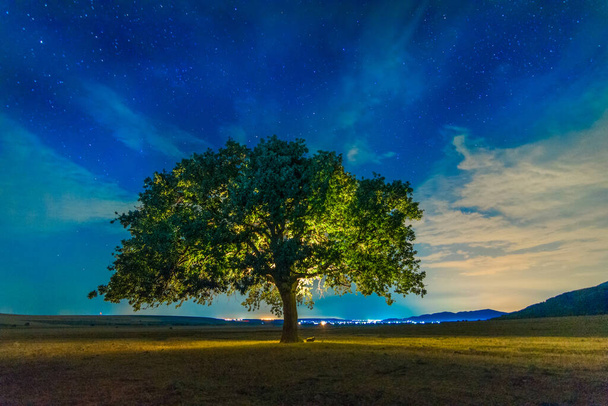 Beautiful landscape with a lonely oak tree and a starry night sky with moon light, Dobrogea, Romania - Photo, Image