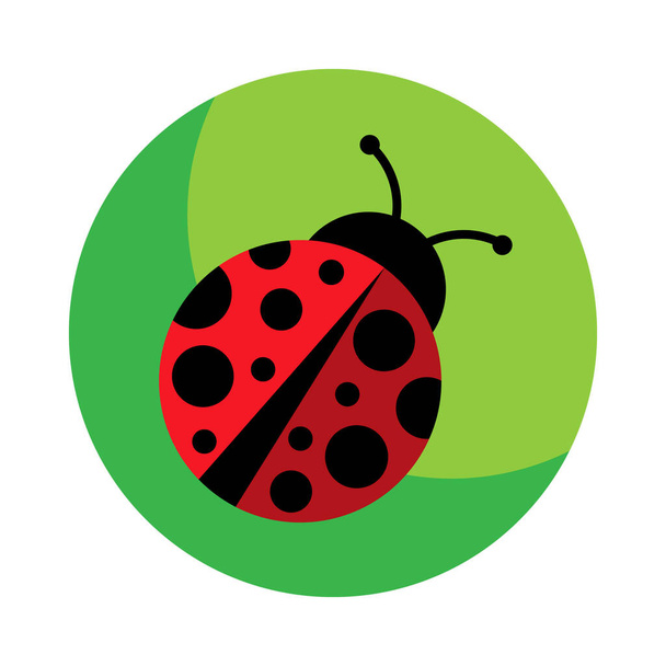 Ladybug nebo vektorová grafická ilustrace berušky, izolované. Roztomilý jednoduchý plochý design černého a červeného brouka. - Vektor, obrázek