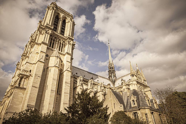 パリのノートルダム大聖堂の外観 - 写真・画像
