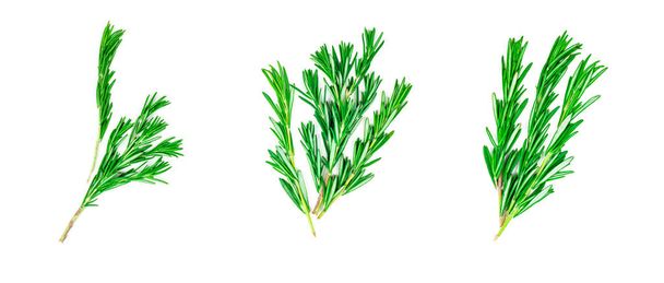 Isolé vue de dessus plat poser feuilles de romarin vert frais, brindilles et branches mis collection sur fond blanc
 - Photo, image