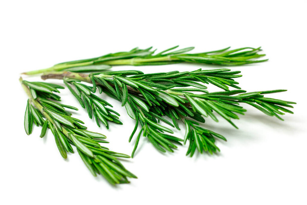 Feuilles, brindilles et branches de romarin vert frais sur fond blanc
 - Photo, image
