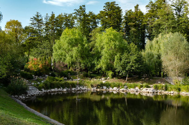 árvores verdes crescendo na margem de uma lagoa, bela paisagem, dia ensolarado
 - Foto, Imagem