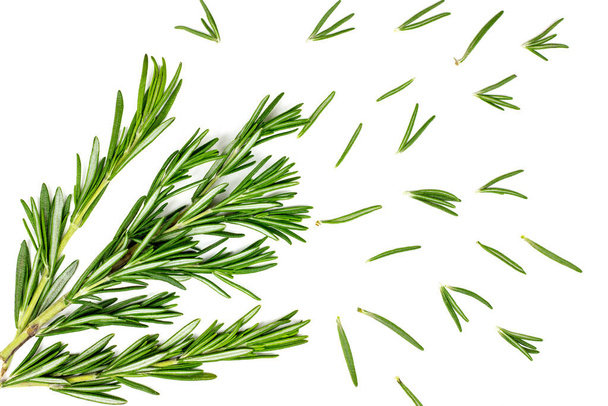 Isolated top view flat lay fresh green rosemary leaves, twigs and branches on white background. - Photo, Image