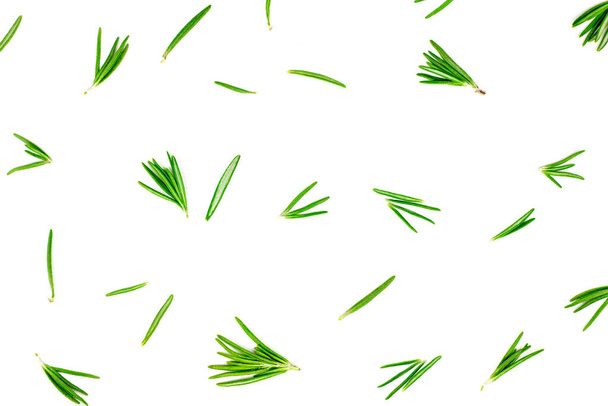 Elszigetelt fehér rozmaring texturált felső nézet lapos feküdt háttér zöld, frissen vágott levelek, ágak és ágak. - Fotó, kép