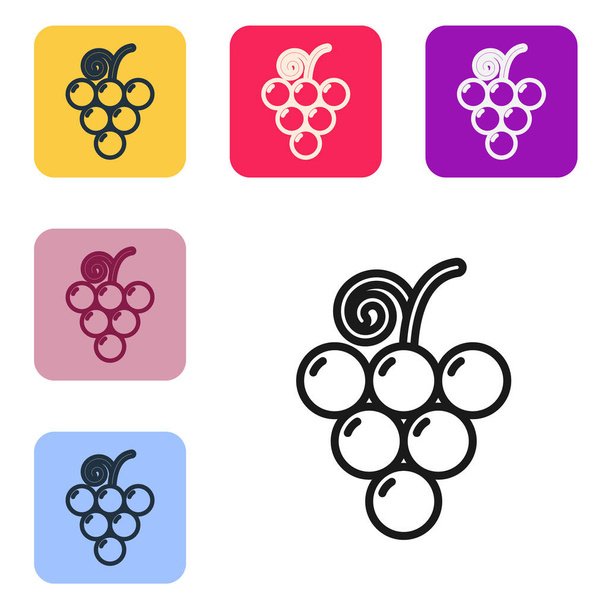 Linha preta Ícone de fruta de uva isolado no fundo branco. Definir ícones em botões quadrados de cor. Ilustração vetorial
 - Vetor, Imagem