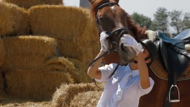 Menina acaricia cavalo
 - Filmagem, Vídeo