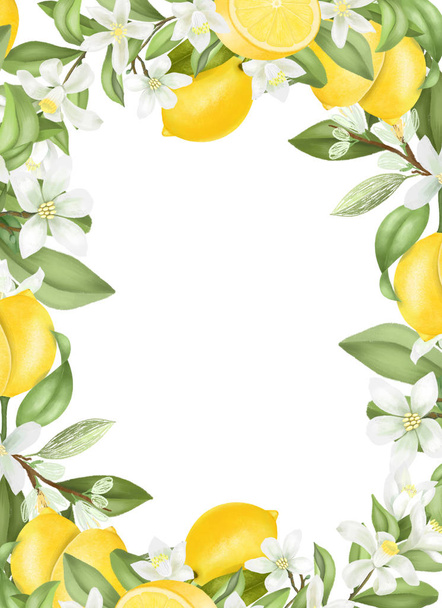 Modelo de cartão, quadro de mão desenhado florescendo ramos de limoeiro, flores e limões no fundo branco
 - Foto, Imagem