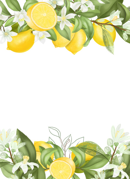 Kaart template, frame van de hand getekend bloeiende citroen boom takken, bloemen en citroenen op witte achtergrond - Foto, afbeelding
