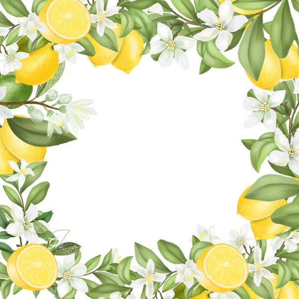 Card template, frame of hand drawn blooming lemon tree branches, flowers and lemons on white background - Photo, Image