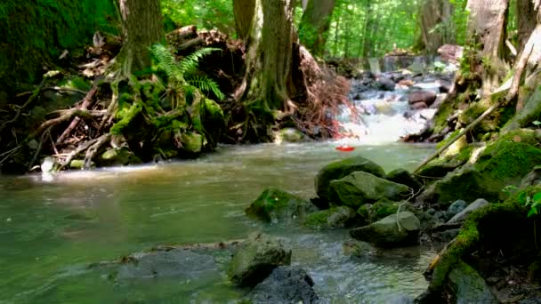 Fast flowing river in a wild area . - Footage, Video