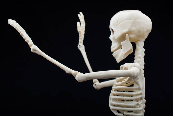 Tıbbi anatomi bilim kliniği konsepti için insan iskeleti modeli. - Fotoğraf, Görsel