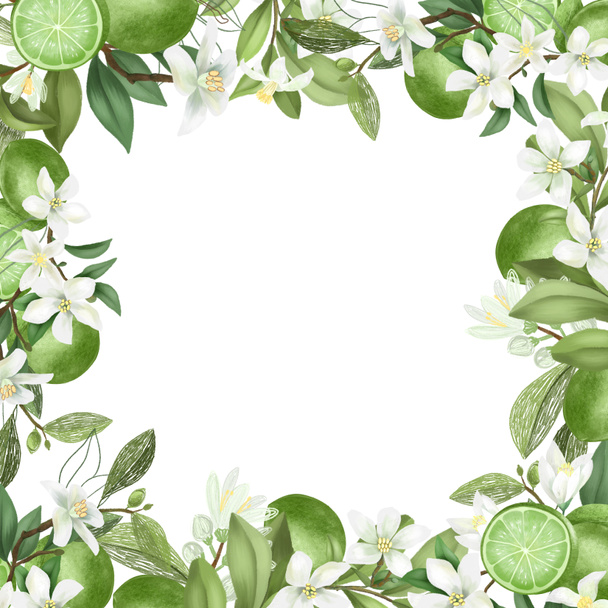 Card template, frame of hand drawn blooming lime tree branches, flowers and limes on white background - Photo, Image