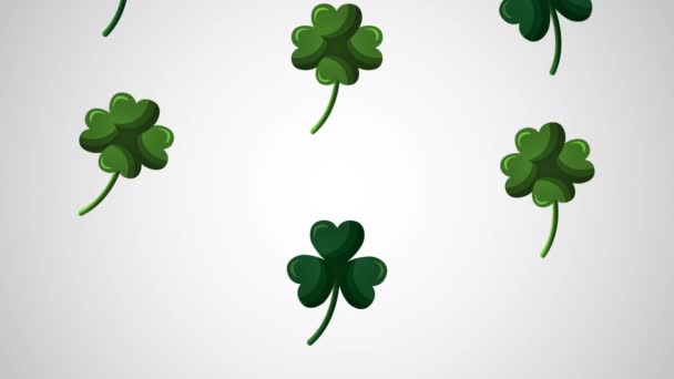 st patricks day animated card with clovers leafs - 映像、動画
