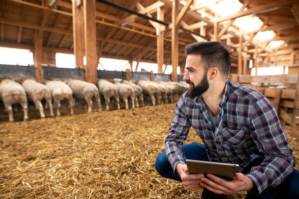 Agricultor com tablet olhando de lado em celeiro de gado de madeira na fazenda
. - Foto, Imagem