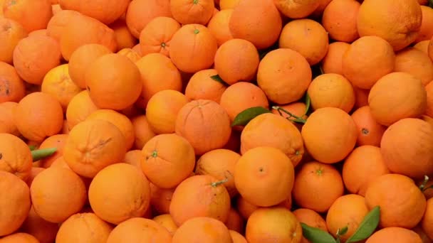 Verse sinaasappels op de fruitmarkt, close up. Dozen vol rijpe sinaasappelen te koop op boerenmarkt.  - Video