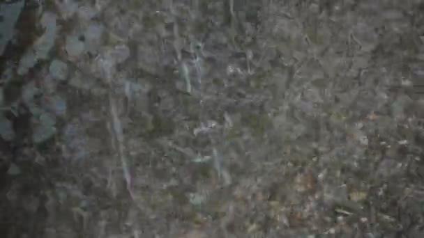 Starkregen: Wasser fällt herunter - Filmmaterial, Video
