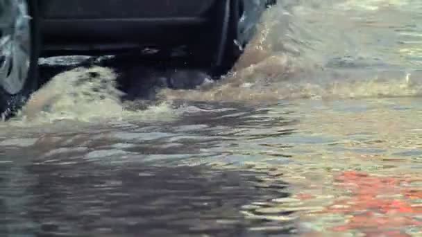 auto's en overstromingen - Video
