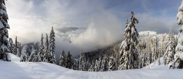Канадский природный ландшафт покрыт свежим белым снегом зимой. Снято в Сеймур Маунтин, Северный Ванкувер, Британская Колумбия, Канада. Панорама
 - Фото, изображение