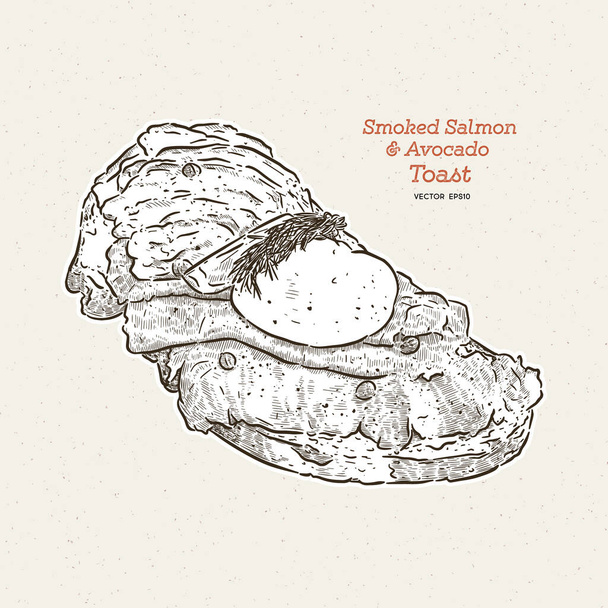 Poached egg on toast, with smoked salmon and avocado, hand draw sketch vector. - Vektor, obrázek