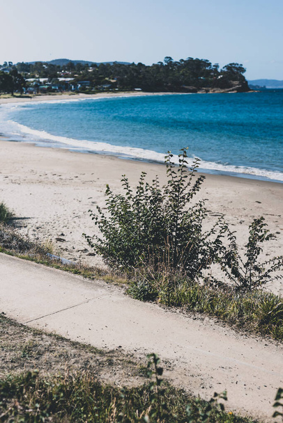 detail of Blackman's Bay beach on a sunny summer day in the late afternoon before dusk, the area is one of the most popular beaches near the city of Hobart - 写真・画像