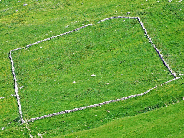 Alpine pastures and meadows in the Malbuntal valley and in the Liechtenstein Alps mountain range - Malbun, Liechtenstein - Φωτογραφία, εικόνα