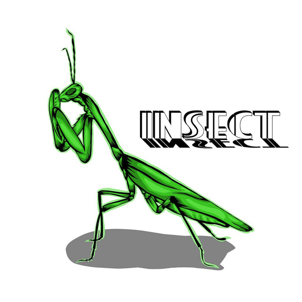 Design simples de ilustração Praying mantis Green
  - Vetor, Imagem