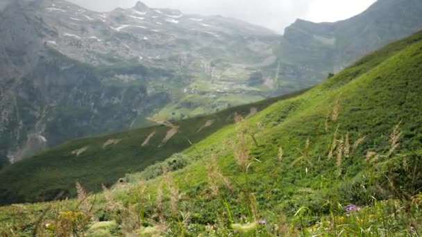 Nahaufnahme eines bärtigen Touristen, der bei sonnigem, windigem Wetter den hohen Berg Adygea bestieg und die Schönheit und Natur des Kaukasus genoss. Sportlicher Mann spaziert im Gras in den Bergen. - Filmmaterial, Video